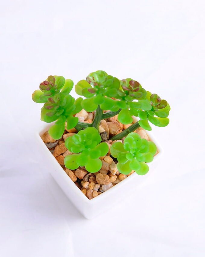 Artificial succulent 6.5*6 Artificial succulent 6.5*6.4*11cm succulent plants in plastic pot GS-51720002