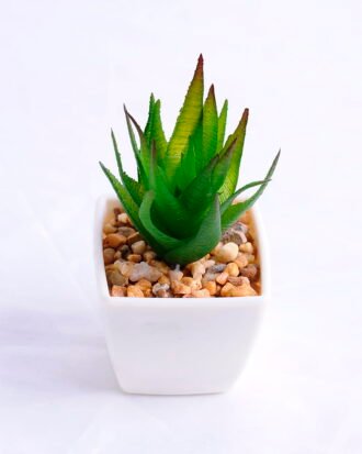 Artificial succulent 5*5*10.5cm succulent plants in plastic pot GS-51720003 Succulent YeahFlower is one of Chinese leading OEM manufacturers and exporters , supplying the silk flowers, wholesale artificial trees Artificial succulent 5*5*10.5cm succulent plants in plastic pot GS-51720003
