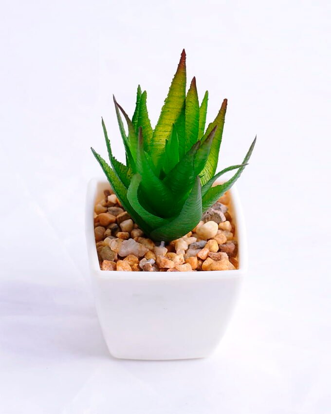 Artificial succulent 5*5*10.5cm succulent plants in plastic pot GS-51720003