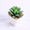 Artificial succulent 5.5*6*7cm succulent plants in plastic pot GS-51720004