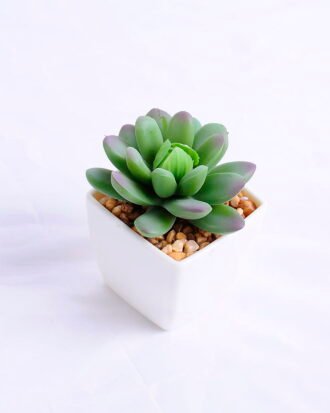 Artificial succulent 5.5*6*7cm succulent plants in plastic pot GS-51720004 Succulent YeahFlower is one of Chinese leading OEM manufacturers and exporters , supplying the silk flowers, wholesale artificial trees Artificial succulent 5.5*6*7cm succulent plants in plastic pot GS-51720004