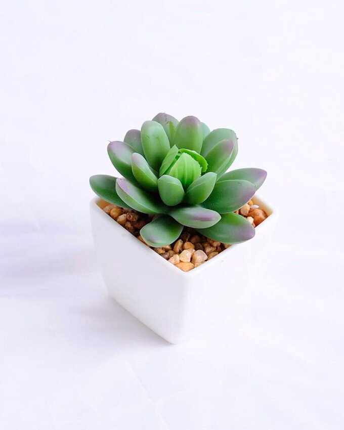 Artificial succulent 5.5*6*7cm succulent plants in plastic pot GS-51720004