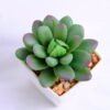 Artificial succulent 5.5*6*7cm succulent plants in plastic pot GS-51720004