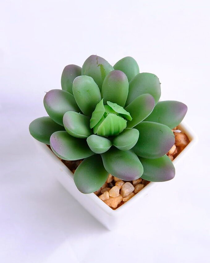 Artificial succulent 5.5*6*7cm succulent plants in plastic pot GS-51720004