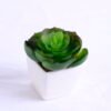 Artificial succulent 6.6*6 Artificial succulent 6.6*6.2*7cm succulent plants in plastic pot GS-51720005
