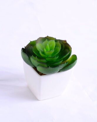 Artificial succulent 6.6*6.2*7cm succulent plants in plastic pot GS-51720005 Succulent YeahFlower is one of Chinese leading OEM manufacturers and exporters , supplying the silk flowers, wholesale artificial trees Artificial succulent 6.6*6.2*7cm succulent plants in plastic pot GS-51720005