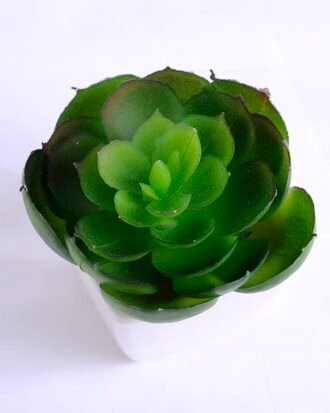 Artificial succulent 6.6*6.2*7cm succulent plants in plastic pot GS-51720005 Succulent YeahFlower is one of Chinese leading OEM manufacturers and exporters , supplying the silk flowers, wholesale artificial trees Artificial succulent 6.6*6.2*7cm succulent plants in plastic pot GS-51720005
