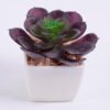Artificial succulent 9*9.4*7 Artificial succulent 9*9.4*7.5cm succulent plants in plastic pot GS-51720014
