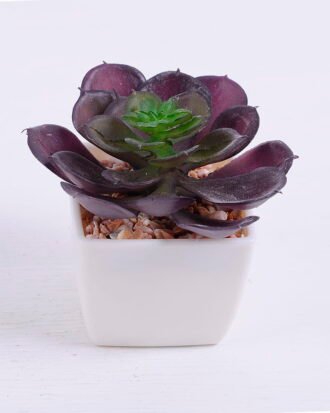 Artificial succulent 9*9.4*7.5cm succulent plants in plastic pot GS-51720014 Succulent YeahFlower is one of Chinese leading OEM manufacturers and exporters , supplying the silk flowers, wholesale artificial trees Artificial succulent 9*9.4*7.5cm succulent plants in plastic pot GS-51720014