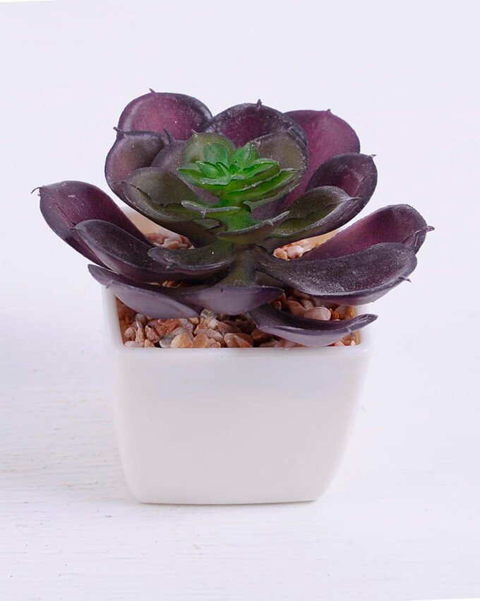 Artificial succulent 9*9.4*7 Artificial succulent 9*9.4*7.5cm succulent plants in plastic pot GS-51720014