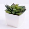 Artificial succulent 8.8*8*8cm succulent plants in plastic pot GS-51720015