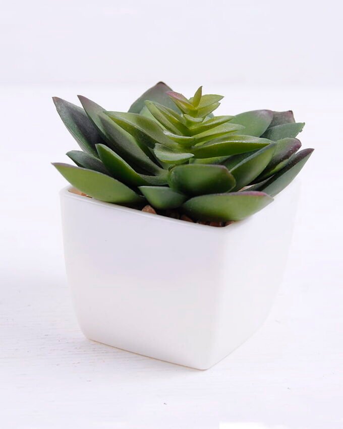 Artificial succulent 8.8*8*8cm succulent plants in plastic pot GS-51720015