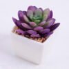 Artificial succulent 7*6.7*7 Artificial succulent 7*6.7*7.5cm succulent plants in plastic pot GS-51720016