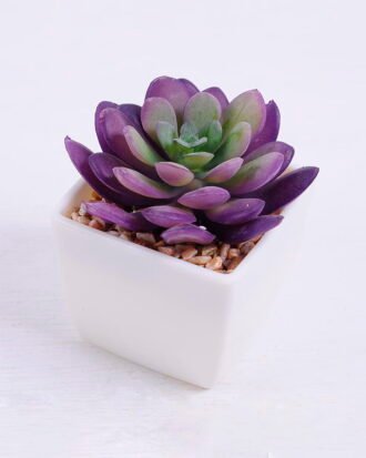 Artificial succulent 7*6.7*7.5cm succulent plants in plastic pot GS-51720016 Succulent YeahFlower is one of Chinese leading OEM manufacturers and exporters , supplying the silk flowers, wholesale artificial trees Artificial succulent 7*6.7*7.5cm succulent plants in plastic pot GS-51720016