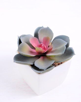 Artificial succulent 9.3*7.5*7.5cm succulent plants in plastic pot GS-51720017 Succulent YeahFlower is one of Chinese leading OEM manufacturers and exporters , supplying the silk flowers, wholesale artificial trees Artificial succulent 9.3*7.5*7.5cm succulent plants in plastic pot GS-51720017