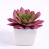 Artificial succulent 9*8.5*8cm succulent plants in plastic pot GS-51720018