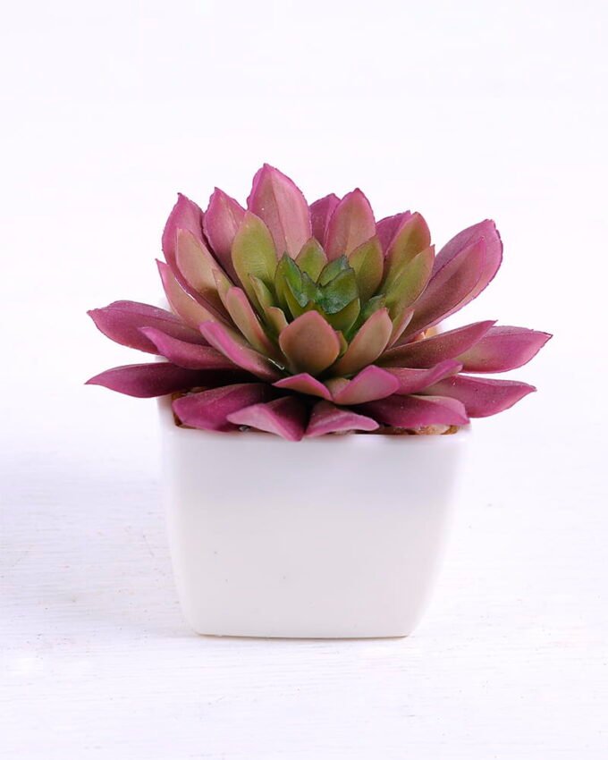 Artificial succulent 9*8.5*8cm succulent plants in plastic pot GS-51720018