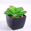 Artificial succulent 8.7*8 Artificial succulent 8.7*8.8*8cm succulent plants in plastic pot GS-51720019