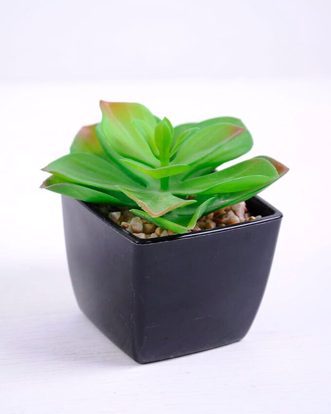 Artificial succulent 8.7*8 Artificial succulent 8.7*8.8*8cm succulent plants in plastic pot GS-51720019