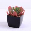 Artificial succulent 7.5*8*8cm succulent plants in plastic pot GS-51720020