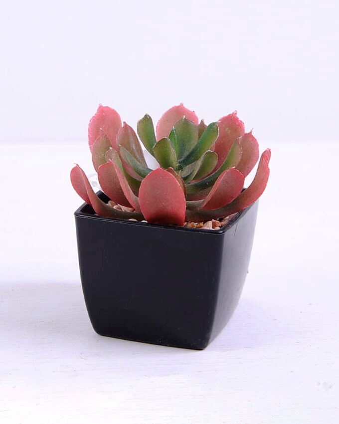 Artificial succulent 7.5*8*8cm succulent plants in plastic pot GS-51720020