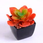 Artificial succulent 9*8.6*8cm succulent plants in plastic pot GS-51720021