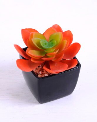 Artificial succulent 9*8.6*8cm succulent plants in plastic pot GS-51720021 Succulent YeahFlower is one of Chinese leading OEM manufacturers and exporters , supplying the silk flowers, wholesale artificial trees Artificial succulent 9*8.6*8cm succulent plants in plastic pot GS-51720021