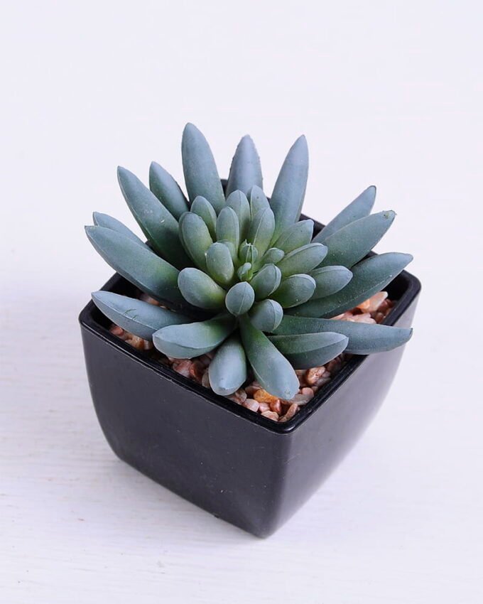 Artificial succulent 7.5*7.2*7 Artificial succulent 7.5*7.2*7.6cm succulent plants in plastic pot GS-51720022