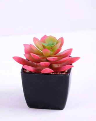 Artificial succulent 8*8.5*8cm succulent plants in plastic pot GS-51720023 Succulent YeahFlower is one of Chinese leading OEM manufacturers and exporters , supplying the silk flowers, wholesale artificial trees Artificial succulent 8*8.5*8cm succulent plants in plastic pot GS-51720023