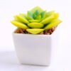 Artificial succulent 8*7.5*7 Artificial succulent 8*7.5*7.5cm succulent plants in plastic pot GS-51720026