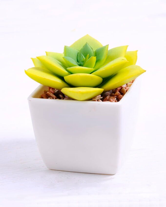 Artificial succulent 8*7.5*7 Artificial succulent 8*7.5*7.5cm succulent plants in plastic pot GS-51720026