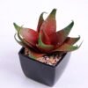 Artificial succulent 9*9*9 Artificial succulent 9*9*9.5cm succulent plants in plastic pot GS-51720027