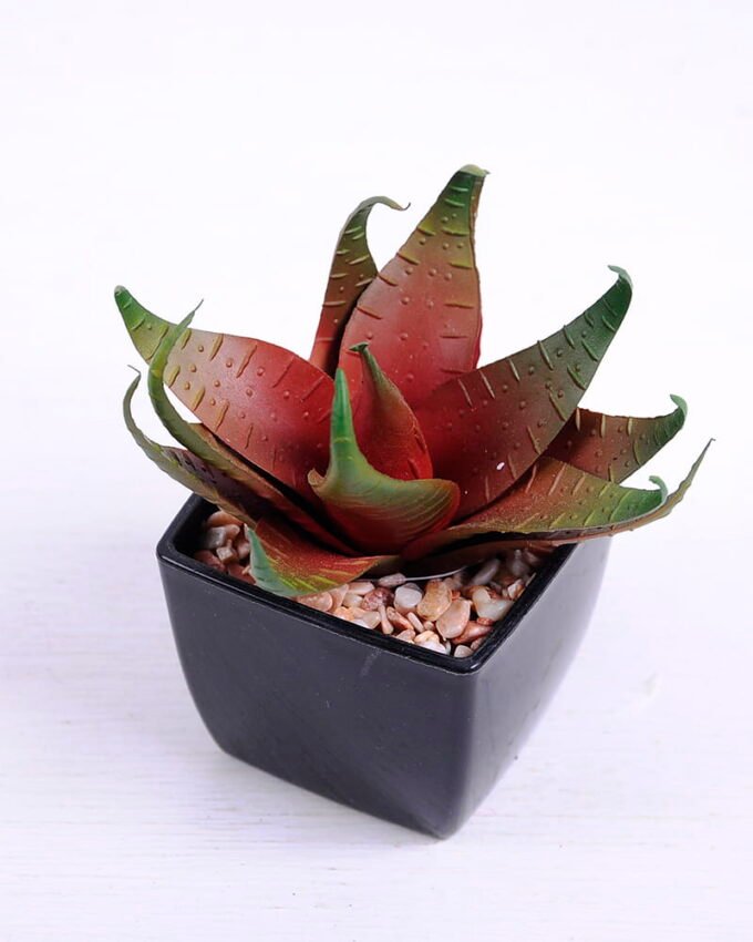 Artificial succulent 9*9*9 Artificial succulent 9*9*9.5cm succulent plants in plastic pot GS-51720027
