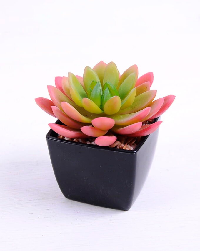 Artificial succulent 9*8.8*9 Artificial succulent 9*8.8*9.5cm succulent plants in plastic pot GS-51720028