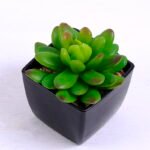 Artificial succulent 7.3*7*8cm succulent plants in plastic pot GS-51720029