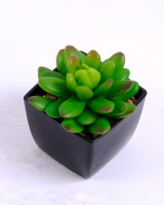 Artificial succulent 7.3*7*8cm succulent plants in plastic pot GS-51720029 Succulent YeahFlower is one of Chinese leading OEM manufacturers and exporters , supplying the silk flowers, wholesale artificial trees Artificial succulent 7.3*7*8cm succulent plants in plastic pot GS-51720029