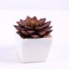 Artificial succulent 7.3*7*7 Artificial succulent 7.3*7*7.5cm succulent plants in plastic pot GS-51720030