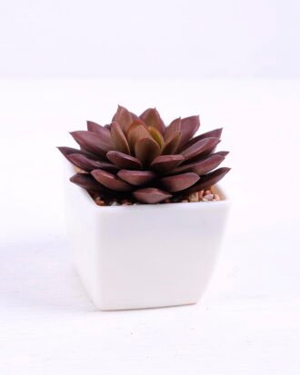 Artificial succulent 7.3*7*7.5cm succulent plants in plastic pot GS-51720030 Succulent YeahFlower is one of Chinese leading OEM manufacturers and exporters , supplying the silk flowers, wholesale artificial trees Artificial succulent 7.3*7*7.5cm succulent plants in plastic pot GS-51720030