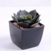Artificial succulent 7*6*7.5cm succulent plants in plastic pot GS-51720032