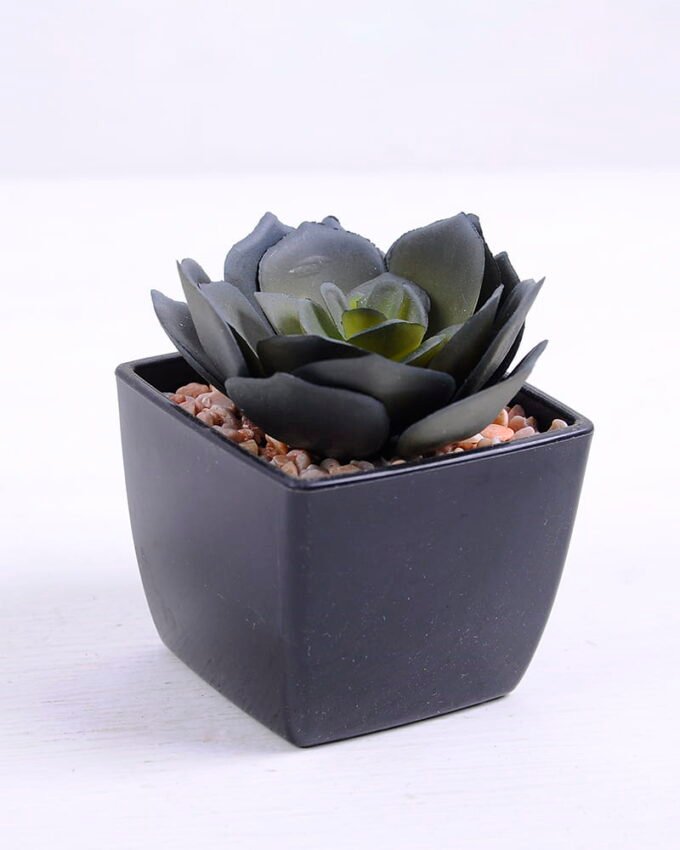 Artificial succulent 7*6*7.5cm succulent plants in plastic pot GS-51720032
