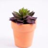 Artificial succulent 6*6*8cm succulent plants in terrecotta pot GS-51720048