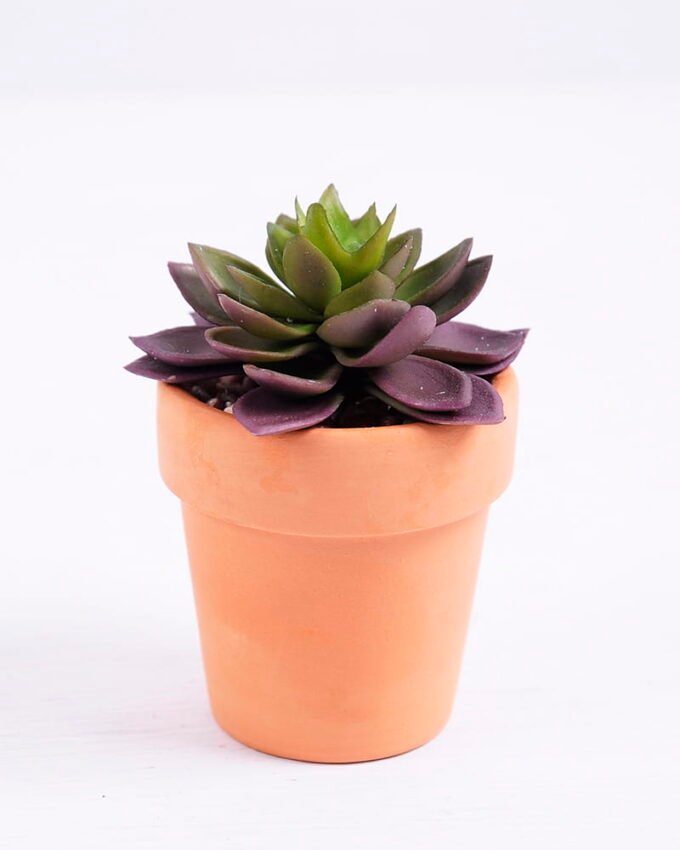 Artificial succulent 6*6*8cm succulent plants in terrecotta pot GS-51720048