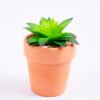 Artificial succulent 6*6*7cm succulent plants in terrecotta pot GS-51720052