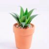 Artificial succulent 7*6.5*10cm succulent plants in terrecotta pot GS-51720053