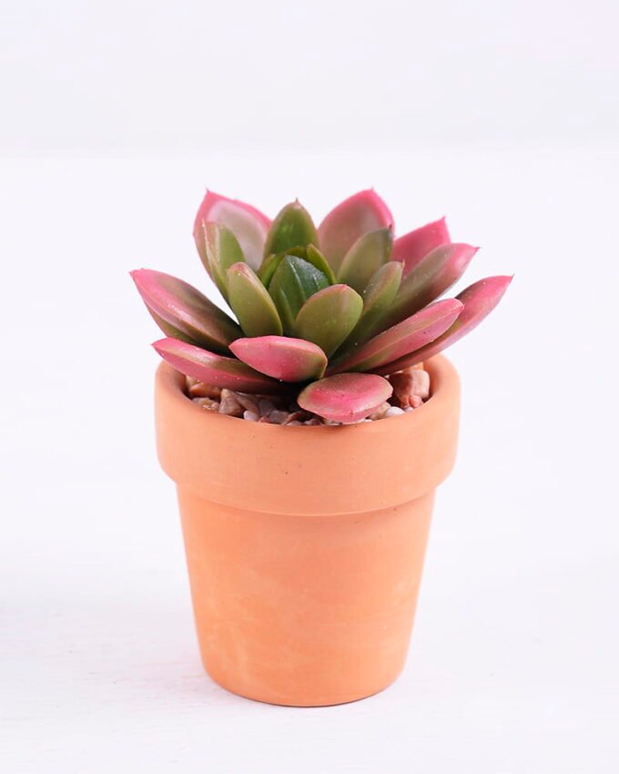 Artificial succulent 6.2*6*7 Artificial succulent 6.2*6*7.7cm succulent plants in terrecotta pot GS-51720054