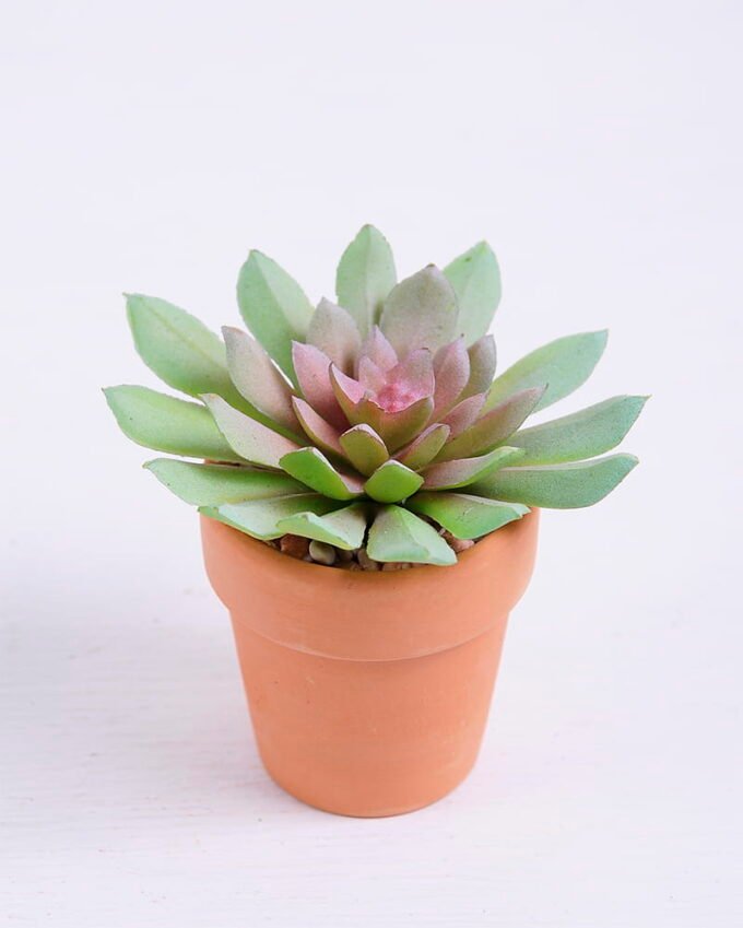 Artificial succulent 8.5*7.7*7.5cm succulent plants in terrecotta pot GS-51720059