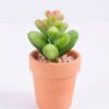 Artificial succulent 5.5*5*9 Artificial succulent 5.5*5*9.3cm succulent plants in terrecotta pot GS-51720064