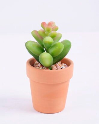 Artificial succulent 5.5*5*9.3cm succulent plants in terrecotta pot GS-51720064 Succulent YeahFlower is one of Chinese leading OEM manufacturers and exporters , supplying the silk flowers, wholesale artificial trees Artificial succulent 5.5*5*9.3cm succulent plants in terrecotta pot GS-51720064
