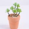 Artificial succulent 6.8*5*10 Artificial succulent 6.8*5*10.4cm succulent plants in terrecotta pot GS-51720072
