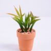 Artificial succulent 8.8*6*12cm succulent plants in terrecotta pot GS-51720073
